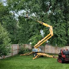 Artificial Turf Installation in West Mayfield, PA