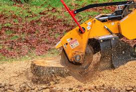 Lawn Pest Prevention in West Mayfield, PA